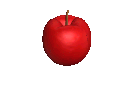233571fruits pommes 4