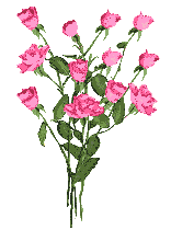 903671bouquet roses