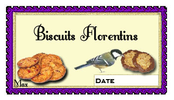 Biscuits florentins copie
