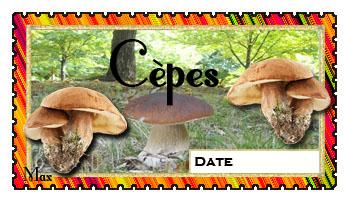 Cepes