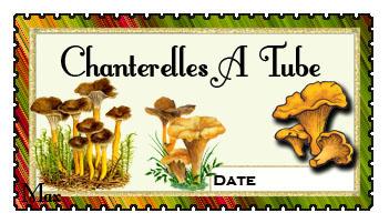 Chanterelles a tube