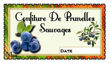 Confiture de prunelles sauvages copie