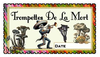 Tompettes de la mort